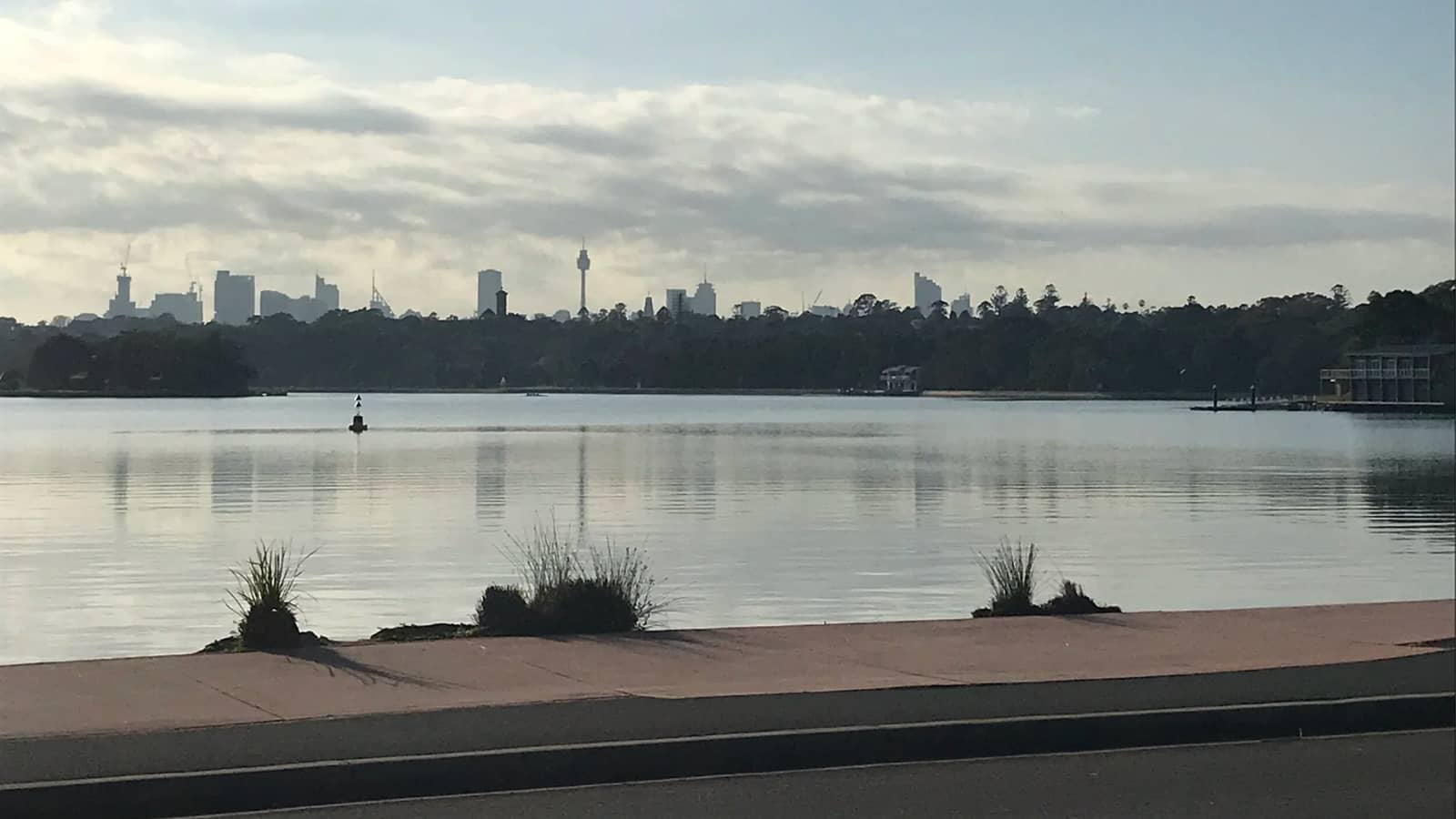 🌿 Evening Leichhardt Bay Walk & Dinner 🍽️