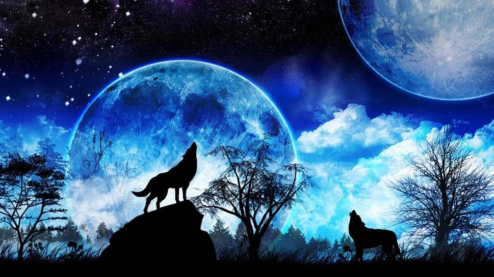 Paranormal Romance Book Club and Culture