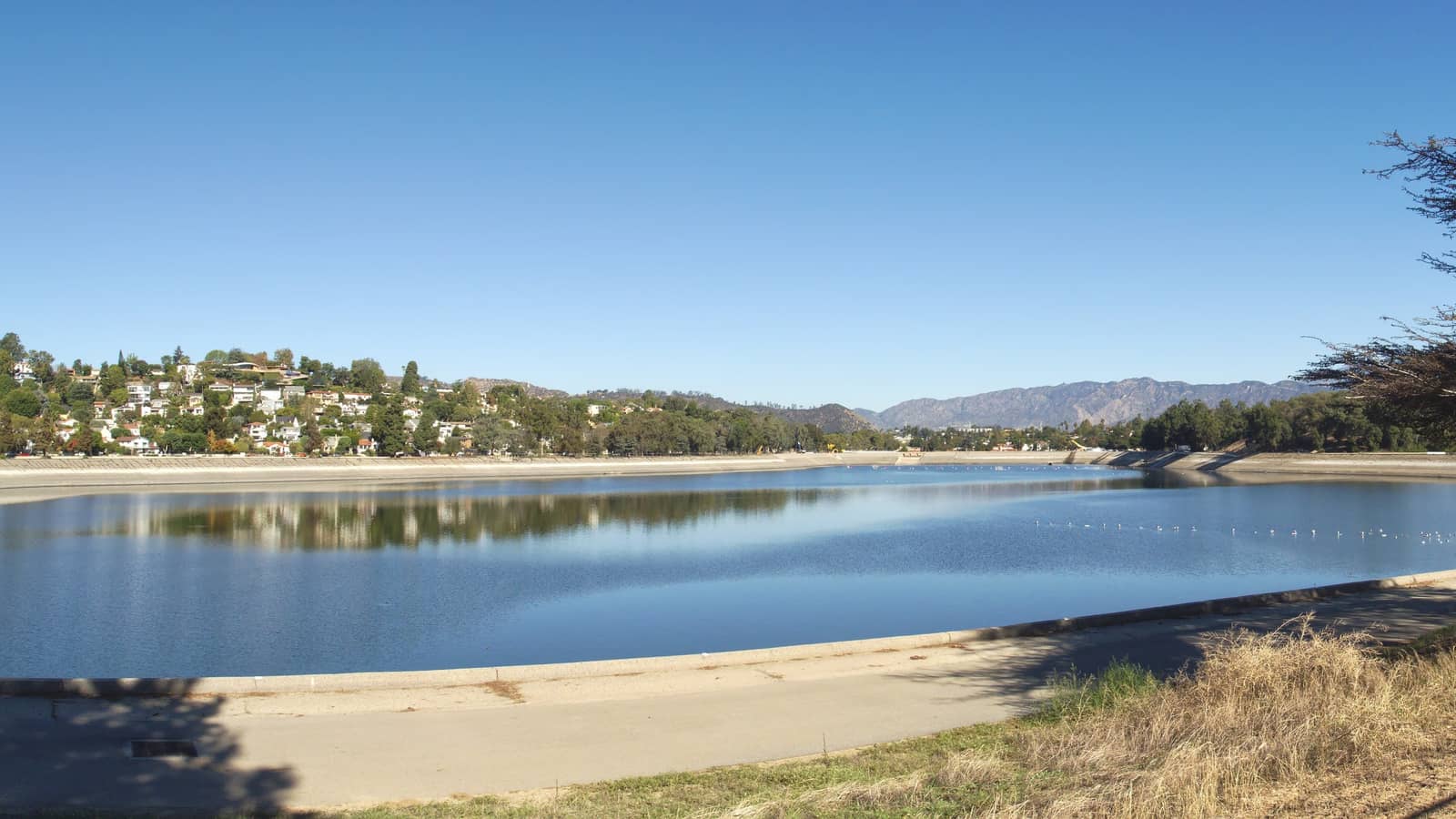 Tuesday Social Walk Around Silver Lake
