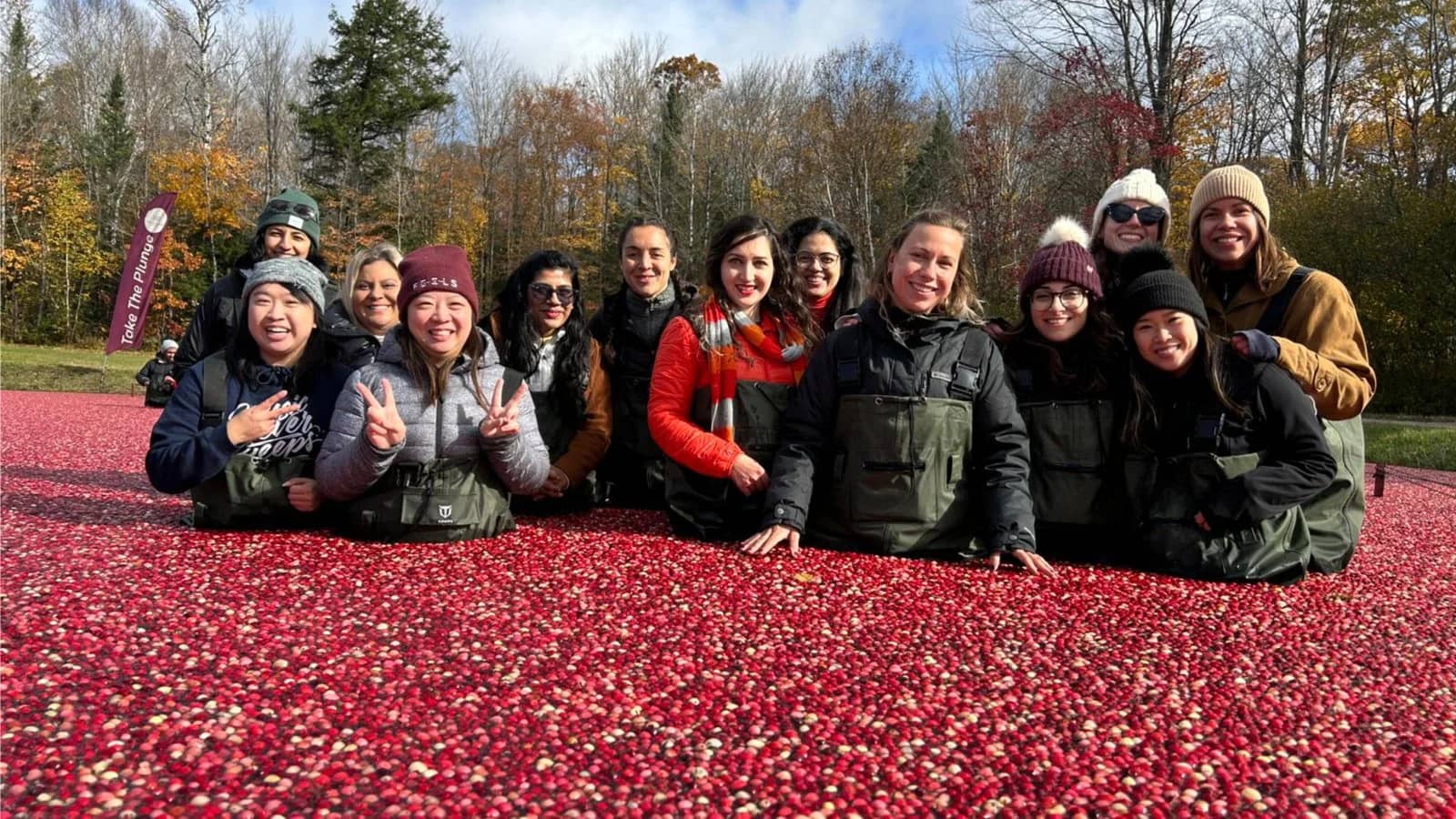 Muskoka cranberry plunge + Hardy Lake