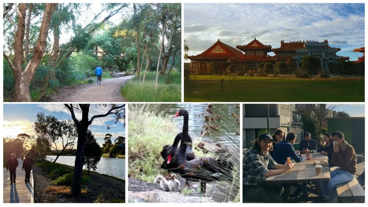 Maribyrnong River Walk: Birds, Wetlands & Coffee – Footscray to Edgewater