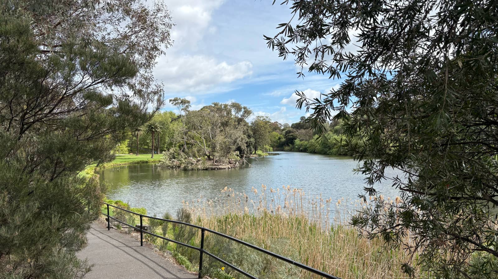 Saturday morning coffee and walk - Coburg Lake