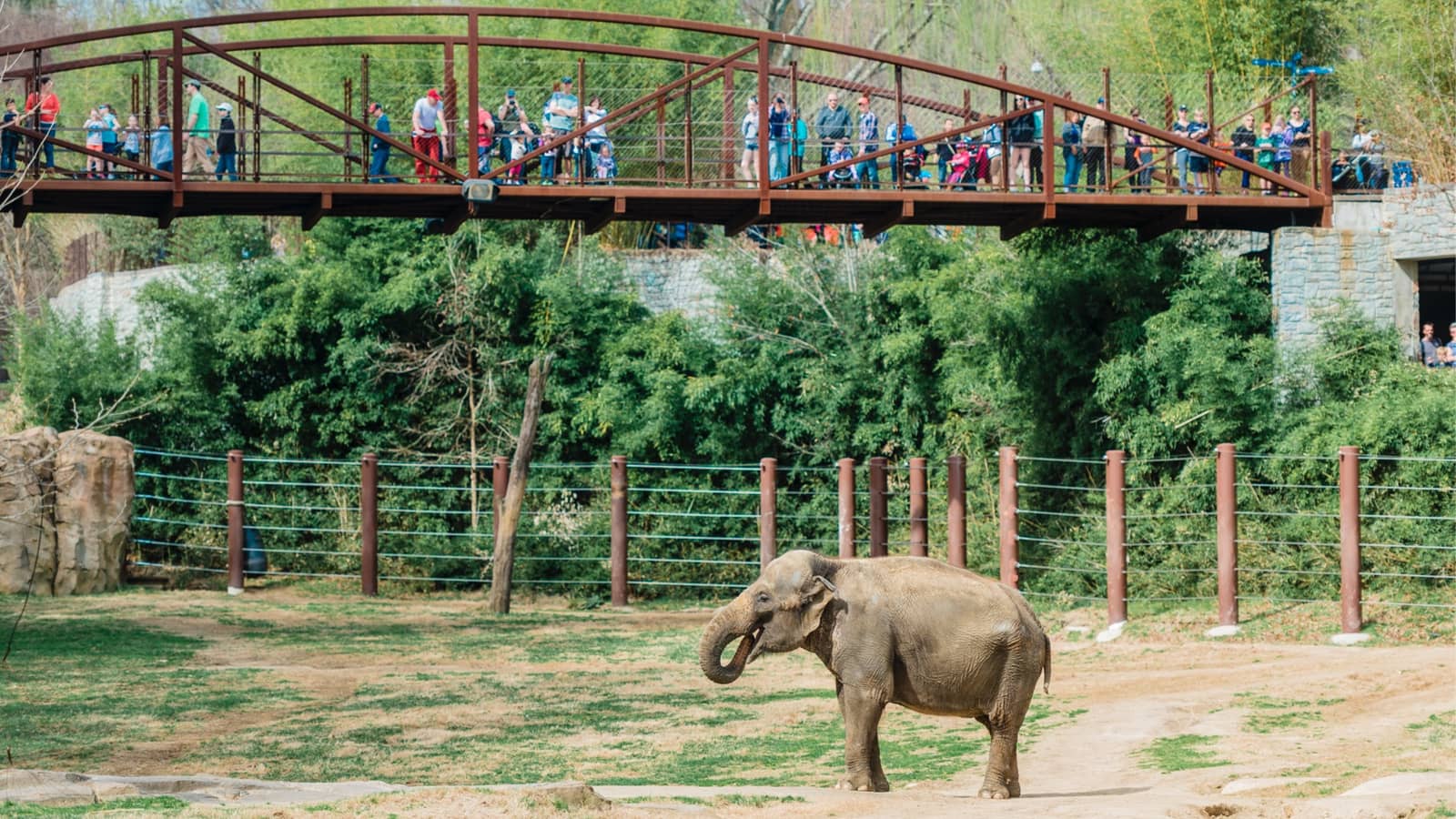 Girls Club SEPT 5th SATURDAY "FREE" Zoo @Smithsonian's National Zoo- D.C.