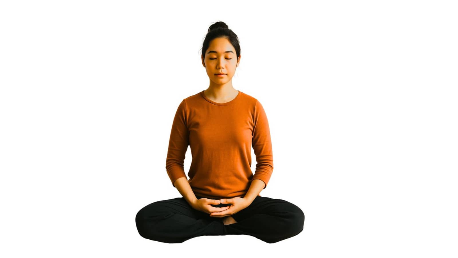 Introducció Gratuïta a la Meditació Zen
