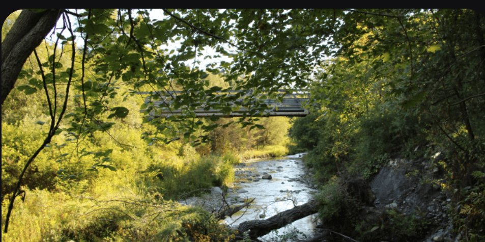 Rouge Park