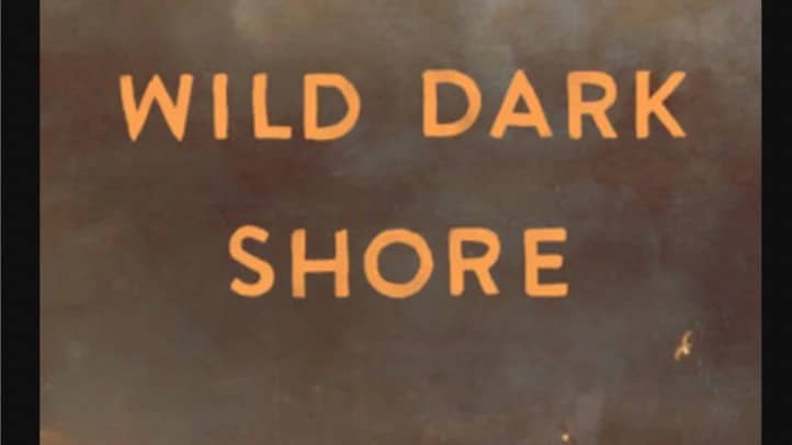 DLC October Meeting: Wild Dark Shore, by Charlotte McCoPaylor