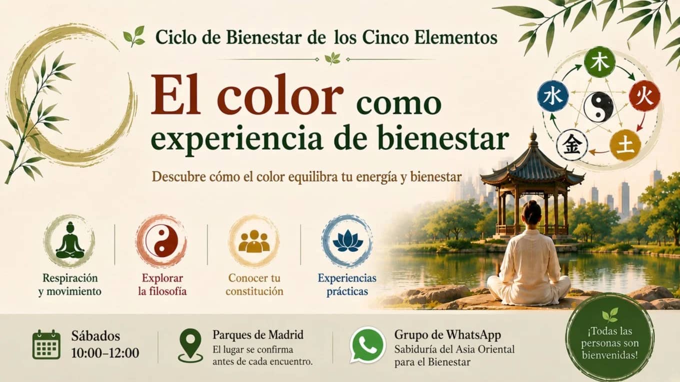 🌿 Ciclo de Bienestar de los Cinco Elementos: Color