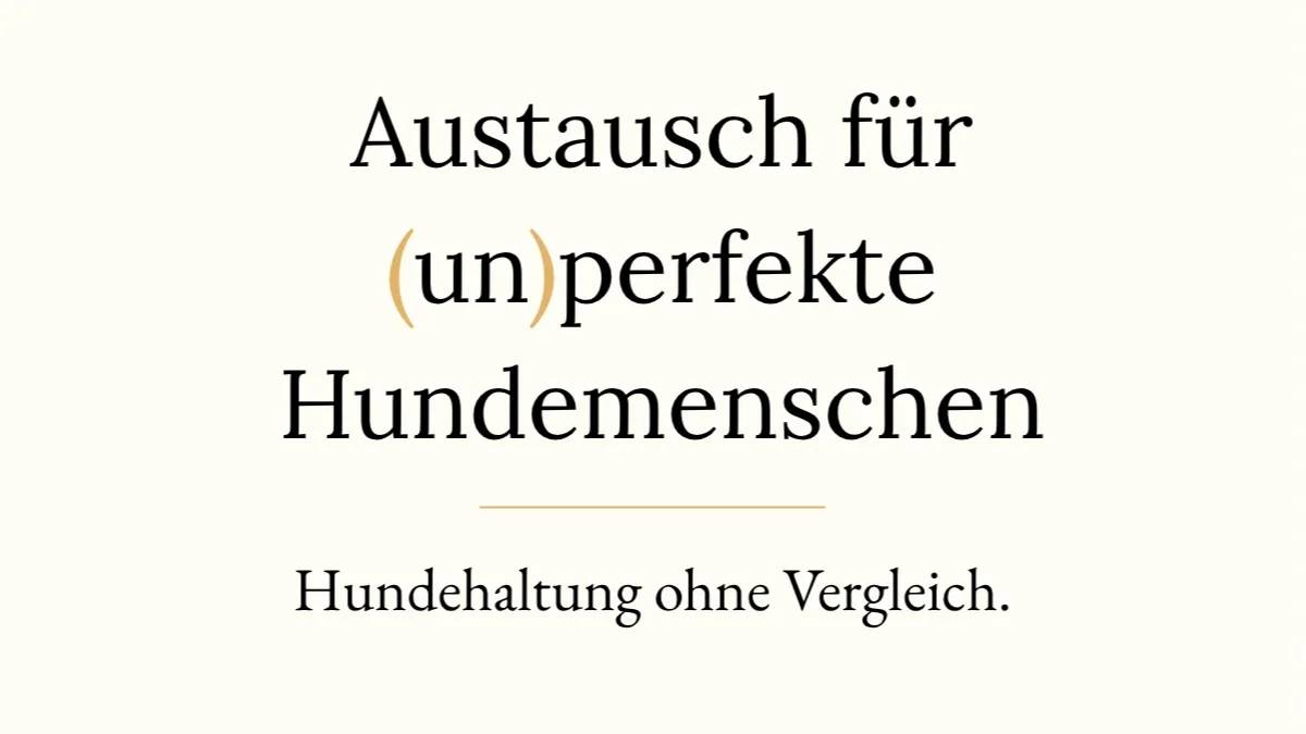 Community-Treffen für (un)perfekte Hundemenschen
