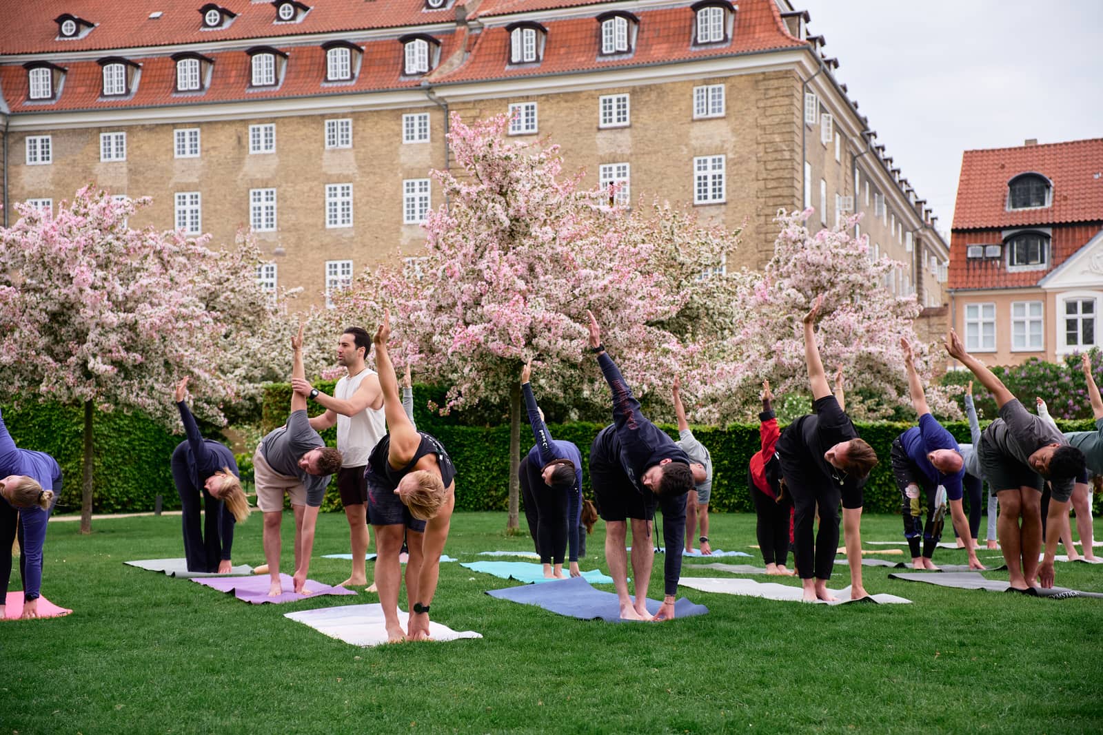 Yoga in The King's Garden - Hatah Yoga