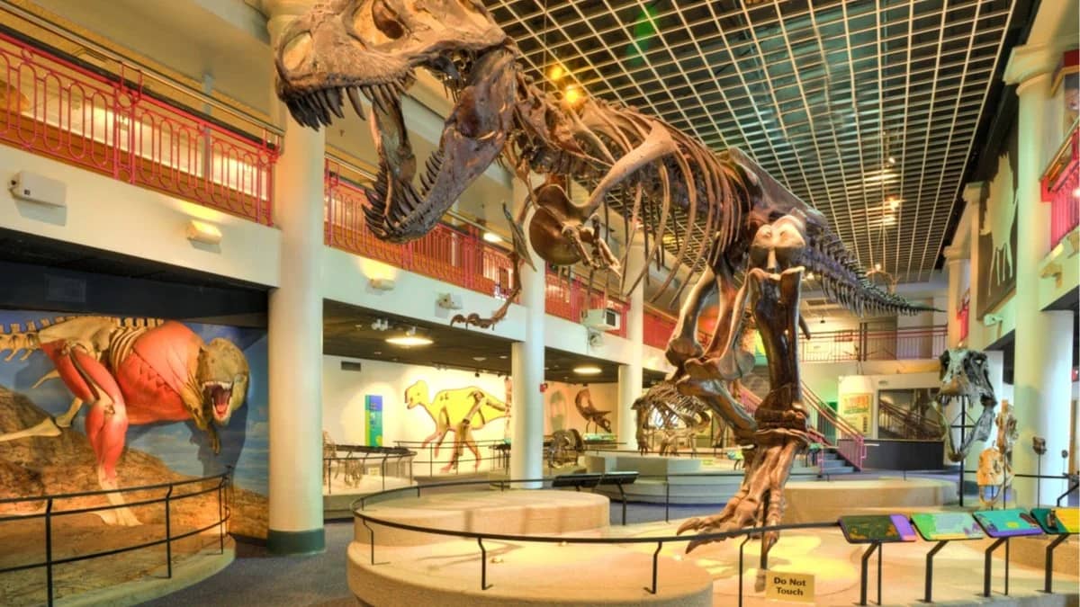 🦖 Don’t Miss the Academy of Natural Sciences Before It Closes! + City Tap House