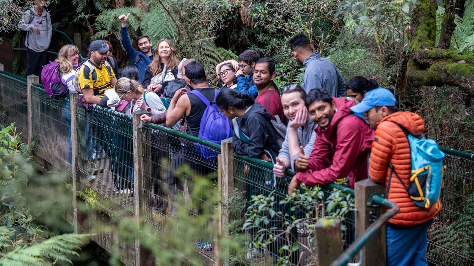 Melbourne - Doongalla Forest