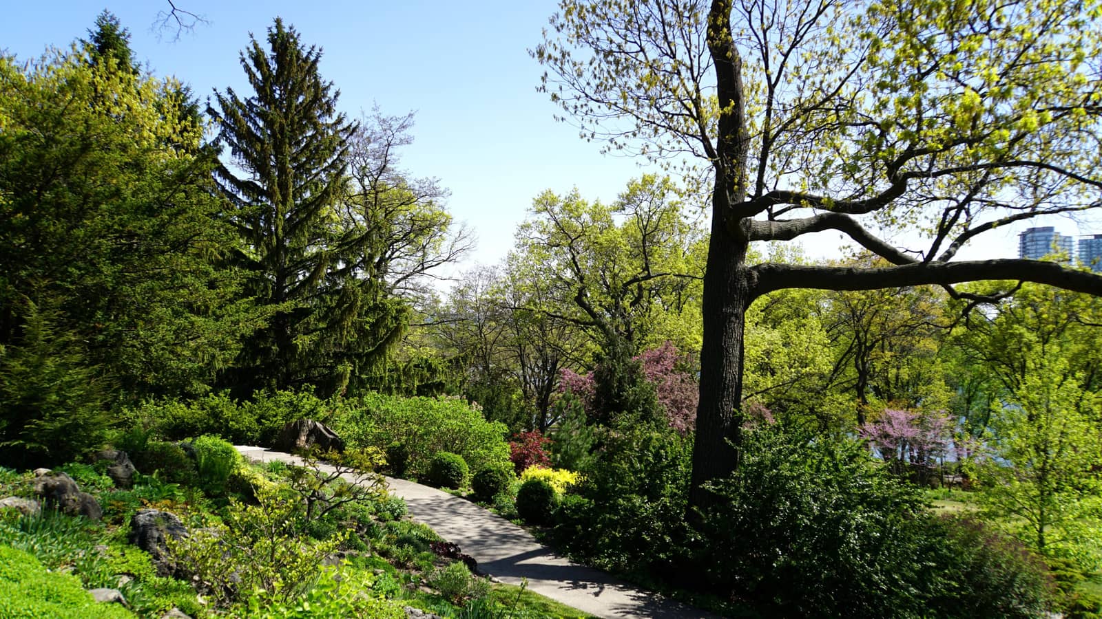 Hiking in High Park