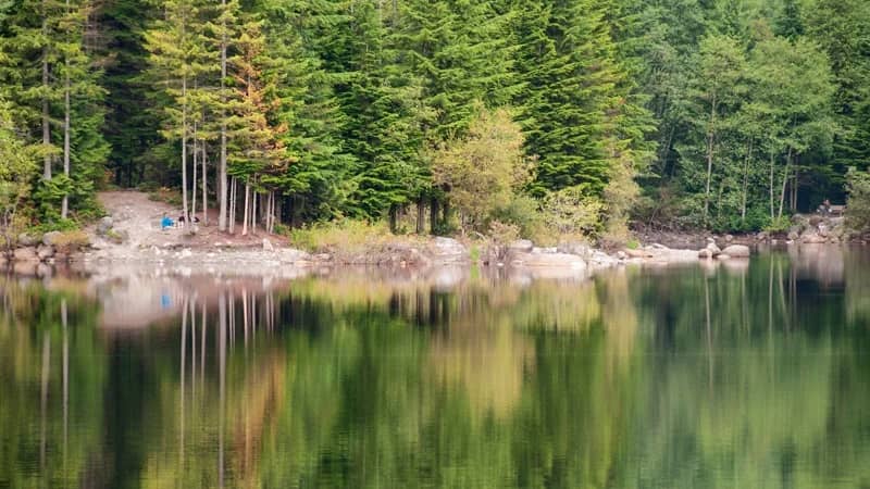 Rice Lake & Varley Trail Walk. Flattish, 6-10k. Lynn Canyon Suspend Brdg Option