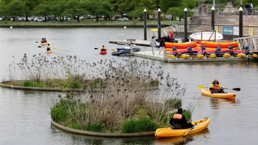 Happy Hour Paddle: Kayak and SUP Social