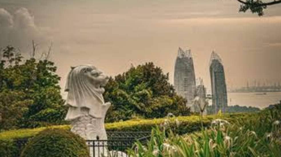Mount Faber Adventure: Walk, Recharge & Reconnect 🌉
