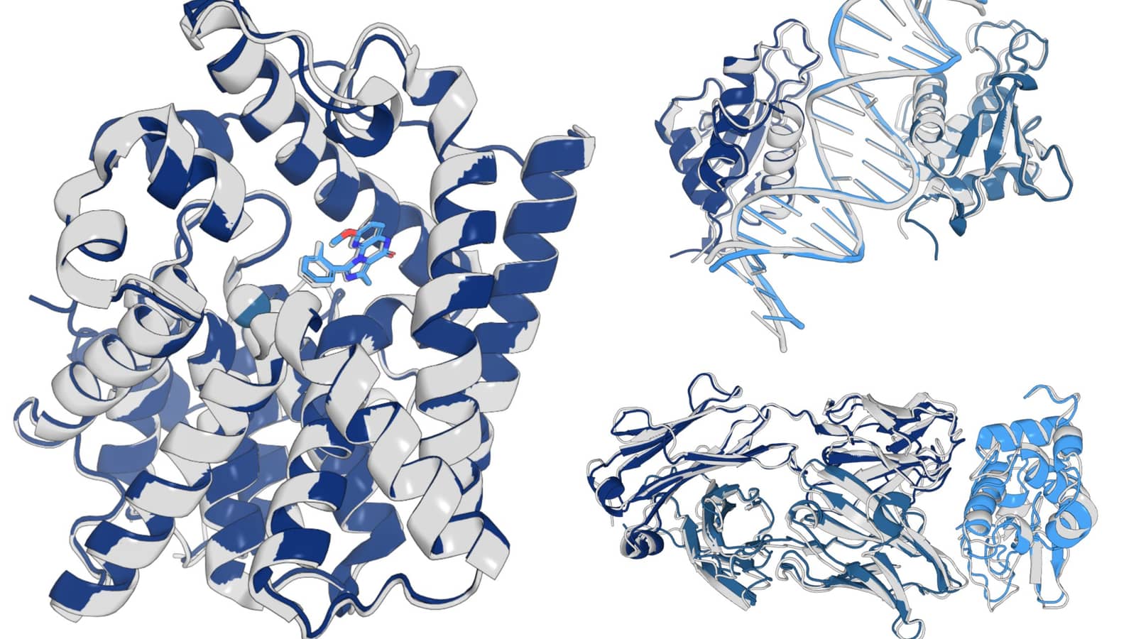 No Free Lunches: Why Physics Still Matters in an AI-Driven Drug Discovery World