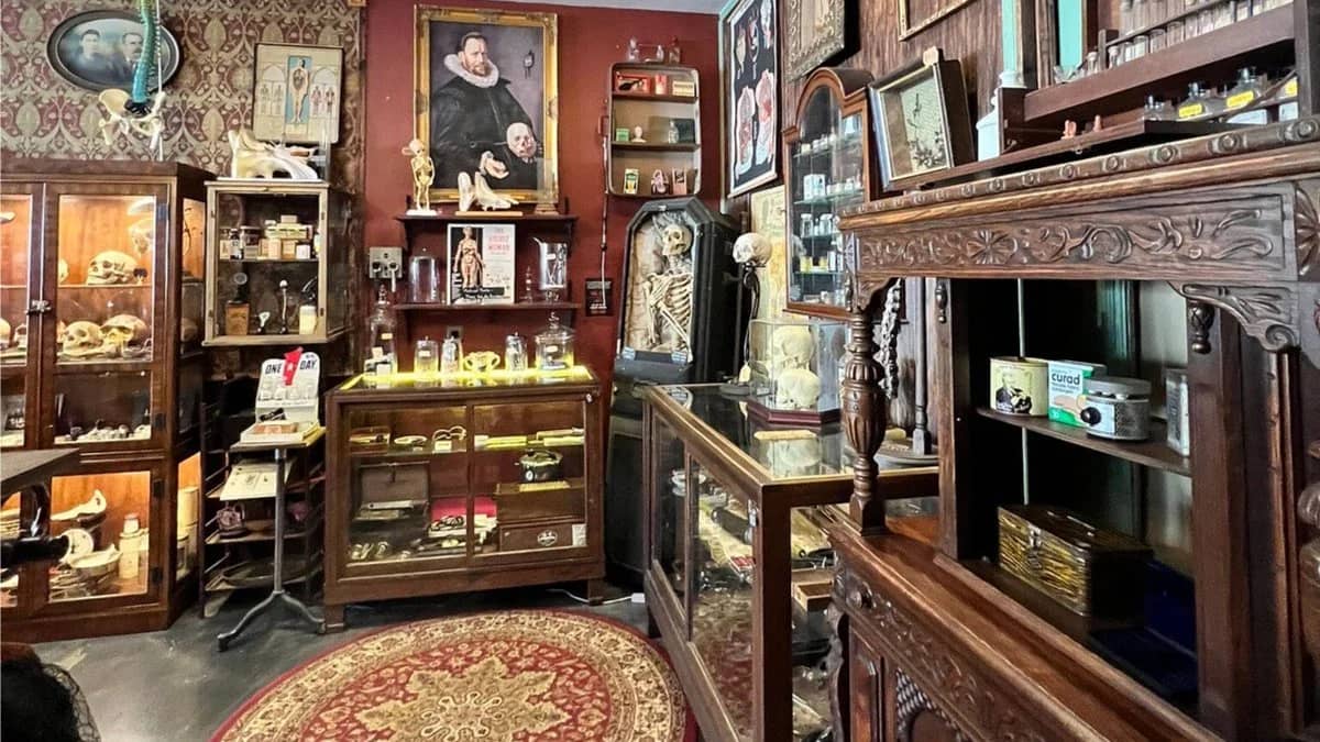 CMLA Bi-Monthly Meetup ***Mystic Museum (Burbank)