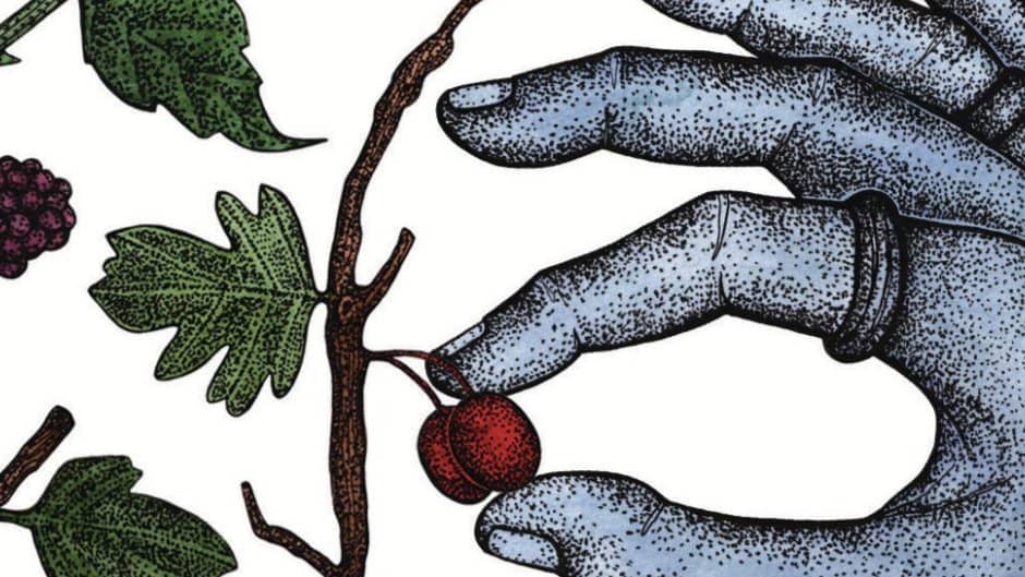 August Green City Witch Walk
