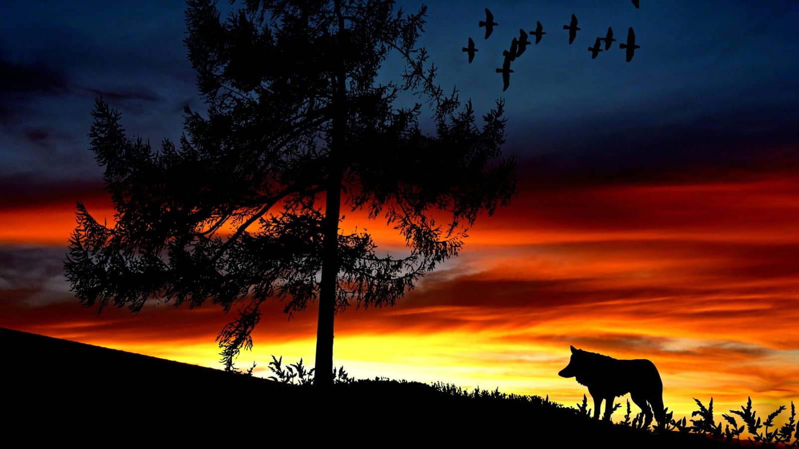 Sep 26-Ultimate Werewolf Game Night