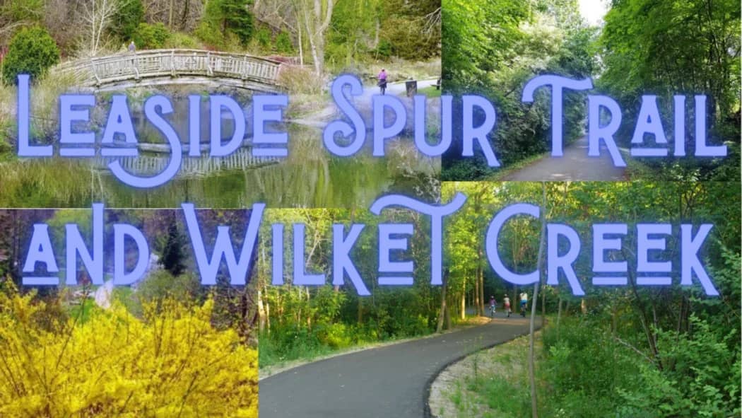 🌿🚶 LEASIDE SPUR TRAIL, WILKET CREEK & EDWARDS GARDENS WALK (10KM) 🚶🌿