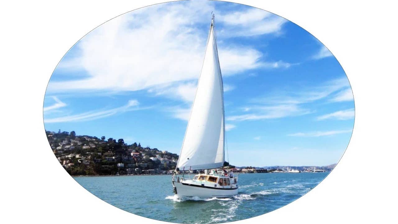 Sailing Adventure aboard the cutter Cetacea on Sunday, Sept 13!