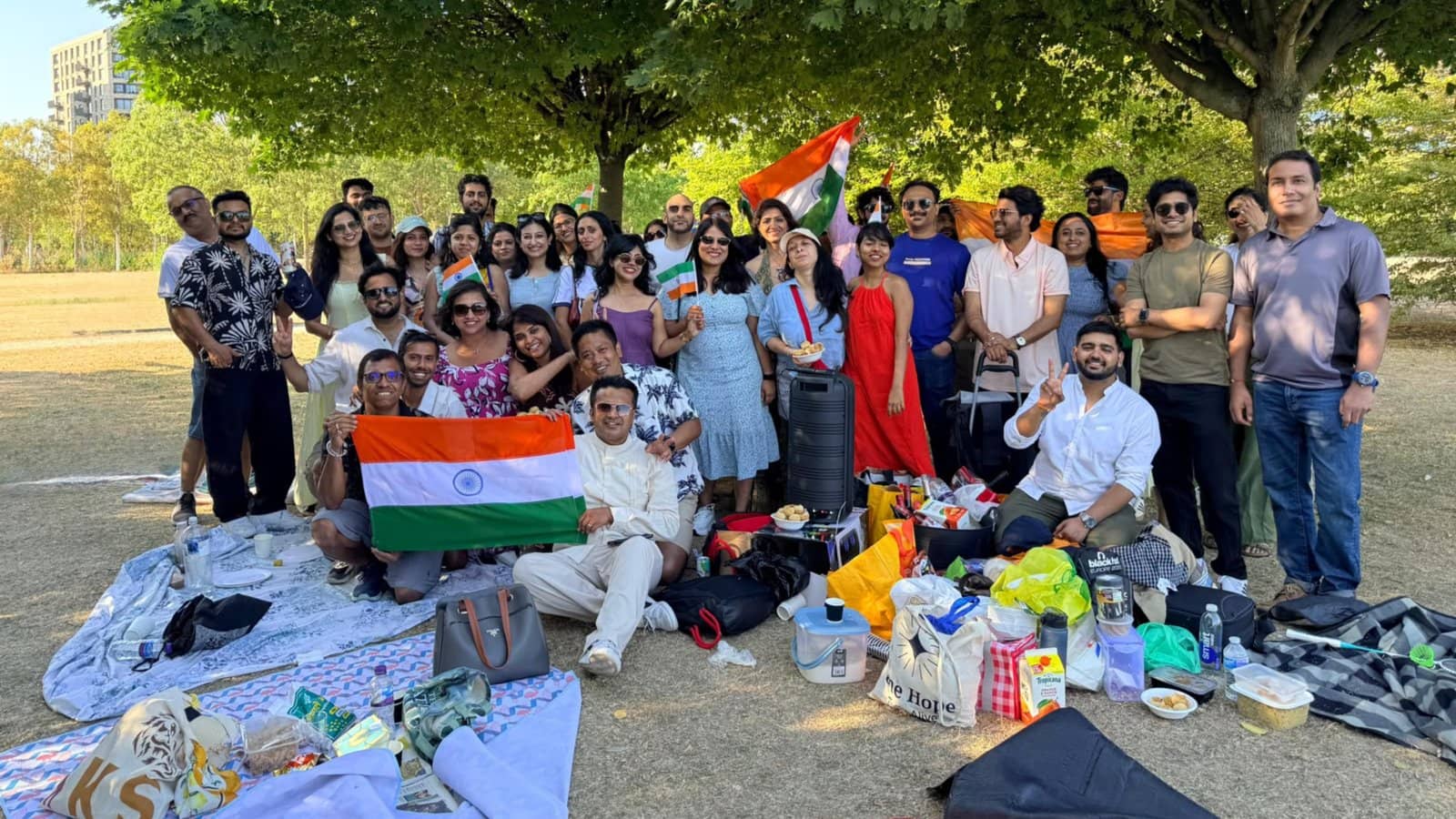 ☀️ Indian Professionals in London Mega Summer Picnic @ Hyde Park ☀️