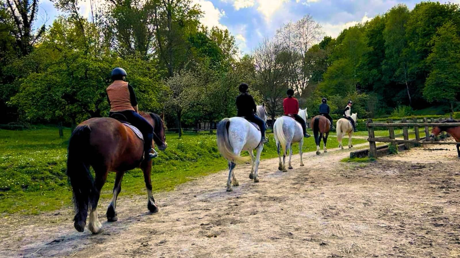 STAGE D’ÉQUITATION (2 JOURS) EN NORMANDIE 🐴 - COMPLET