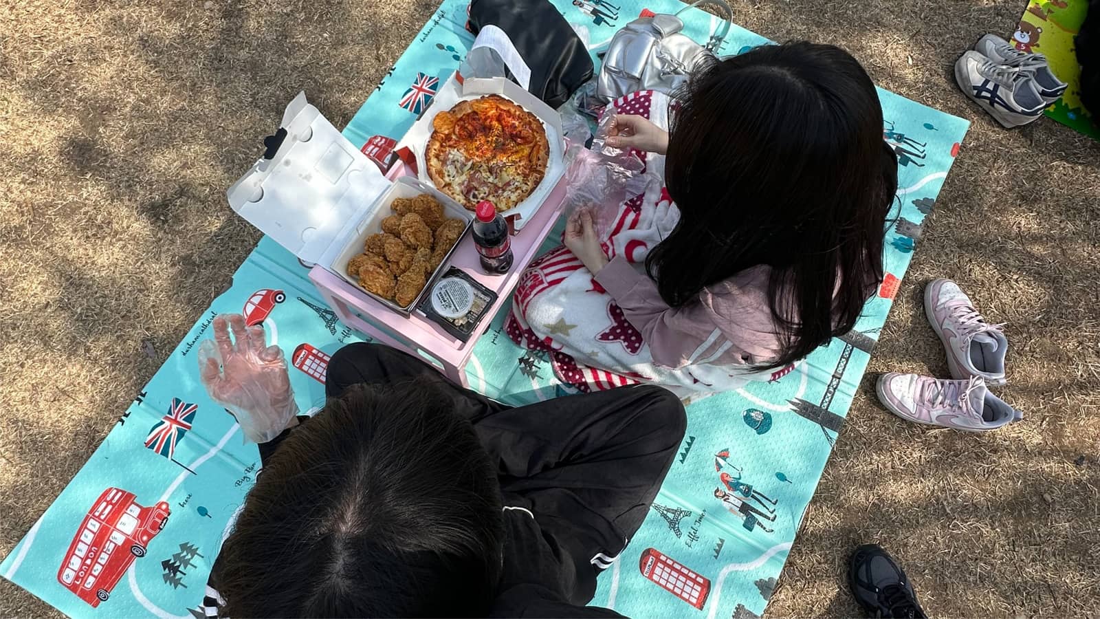 Han River Tour with Local Buddy