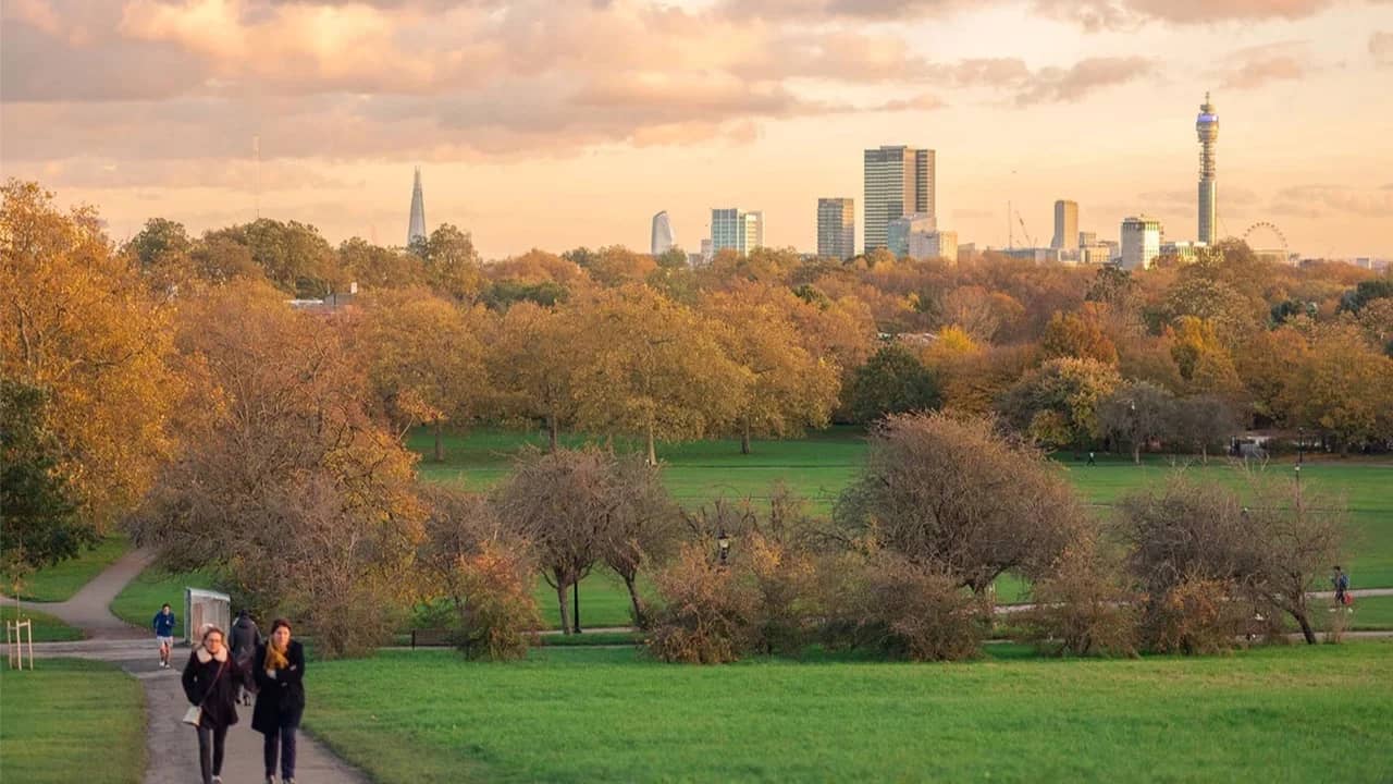 Peak Autumn Textures at The Regent’s Park