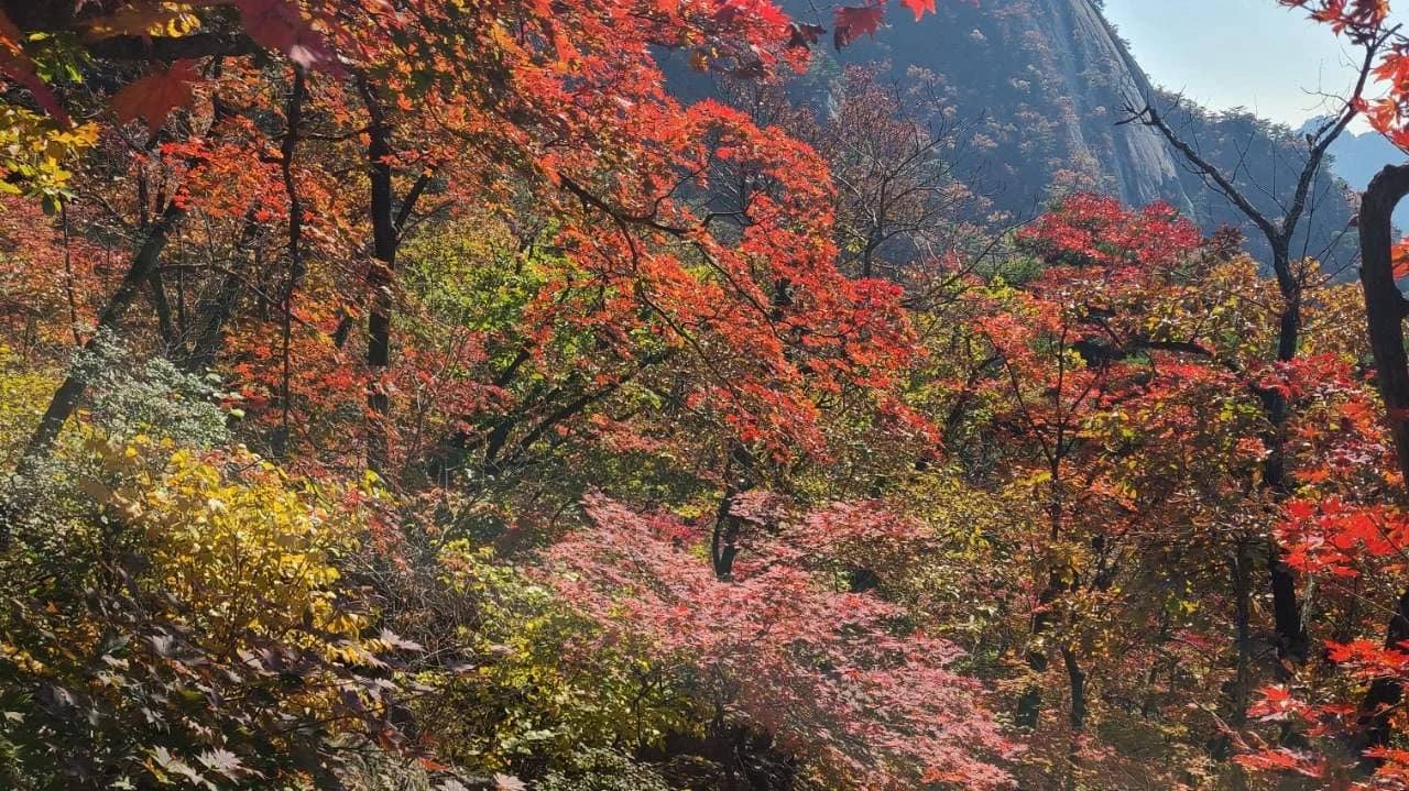 Hike Bukhansan Mountain for Autumn Leaves