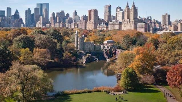 A Visit to Central Park