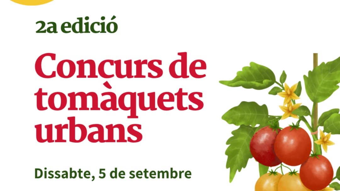 Concurs de tomàquets urbans de Barcelona 🍅 - 2a Edició