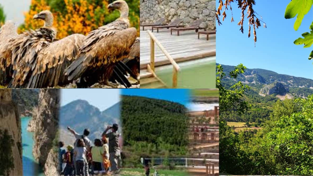 14-15-16 DE AGOSTO🌞 ALT URGELL🦅ALINYÀ💦EL SALÍ🦊ZOO DEL PIRINEU
