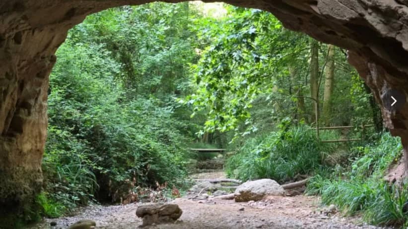 🌳SENDERISMO -FACIL-fluvial-del-ripoll-Torrent de Colobrers - La Foradada🌳