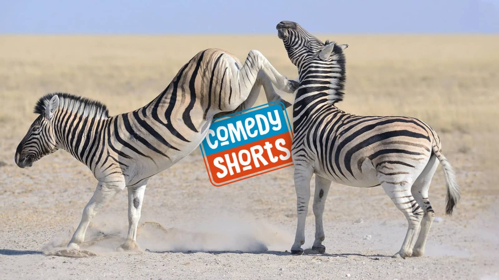 ComedyShorts - Improv comedy played like a sport! 3rd Friday of the Month @8pm