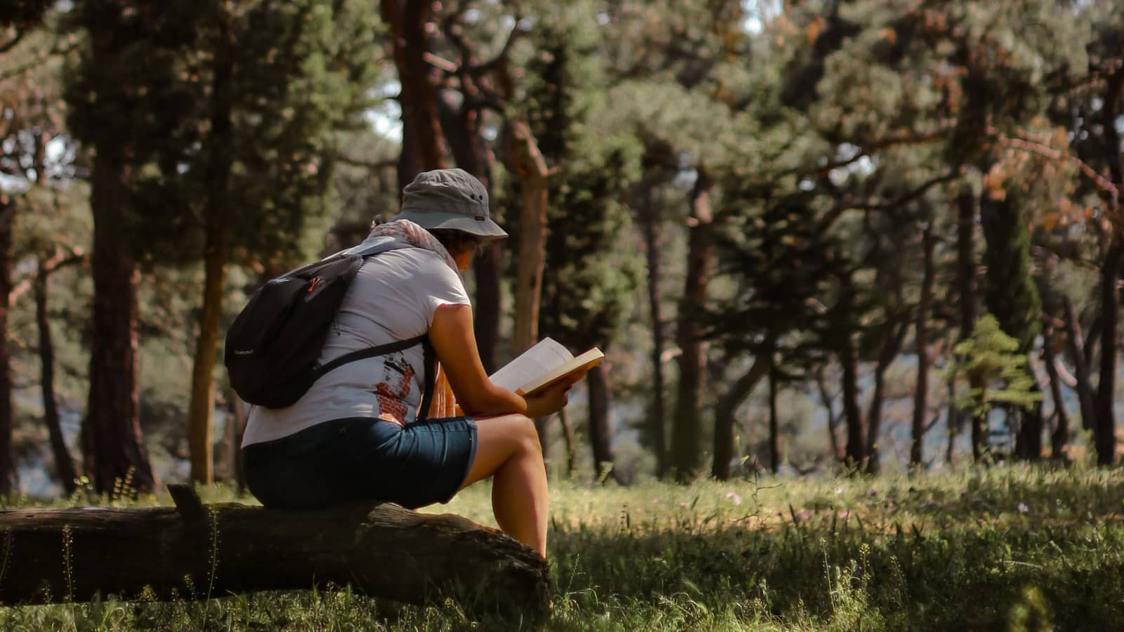 Book Club and Tune-Up Hike @ LaBagh Woods