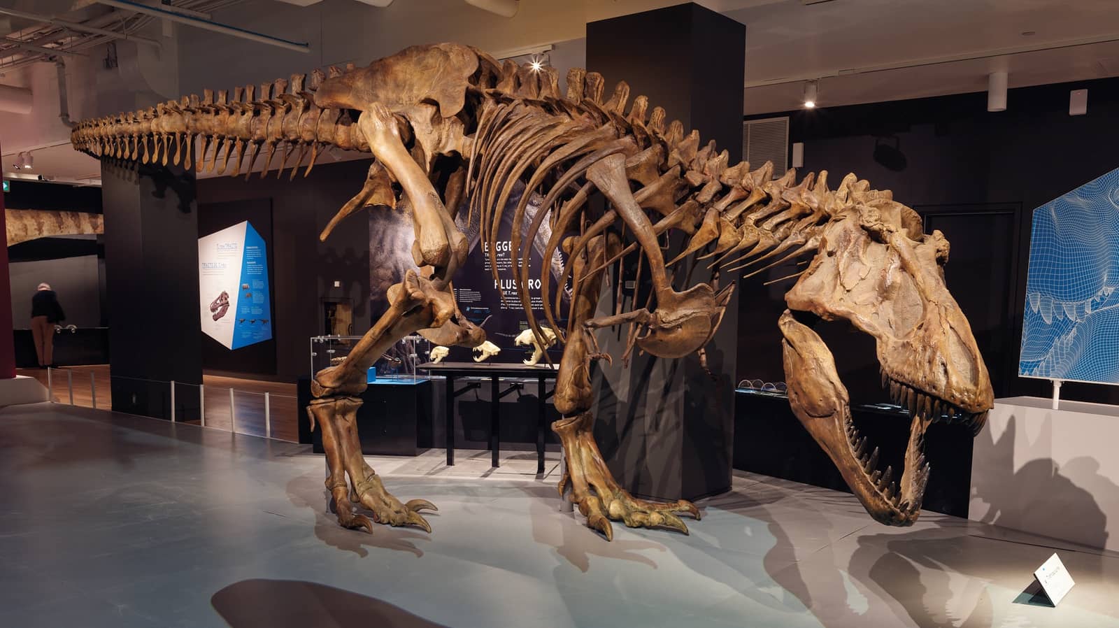 🦖🤎 ROM FREE NIGHT — Moms & Kids Meetup!