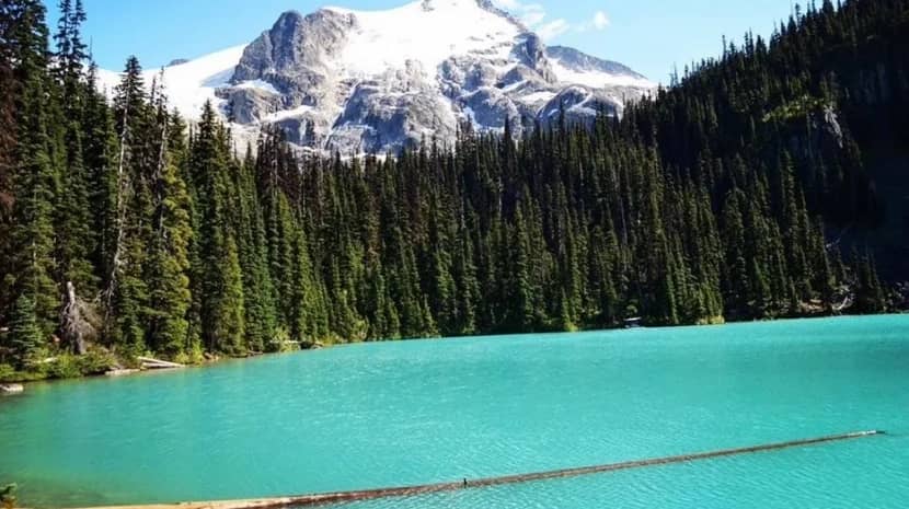 Joffre Lake Hiking Day Pass is prepared
