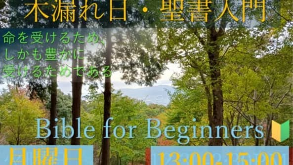 木漏れ日 Bible for Beginners ☀️🌱