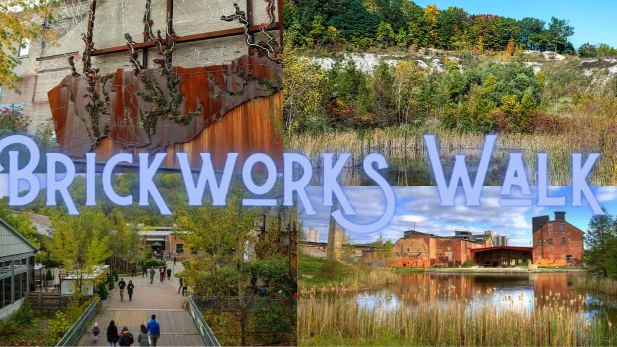 🍁 The Fall Colours of Brickworks (Thanksgiving Walk) 🍂