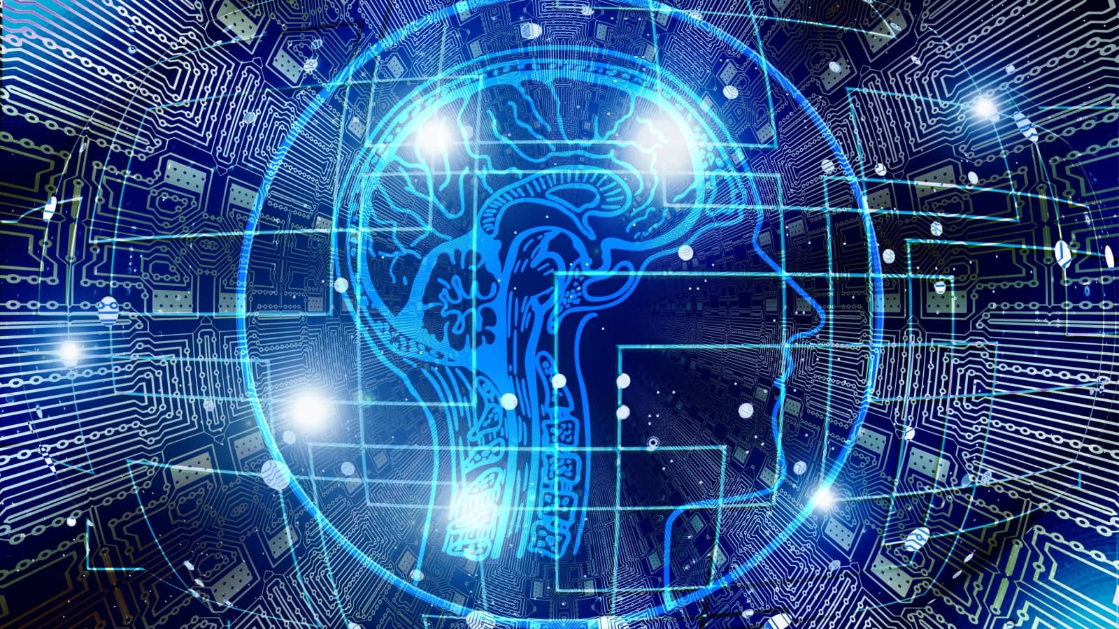 ADHD Uncovered: A Neuroscientific Guide for Individuals, Parents & Professionals