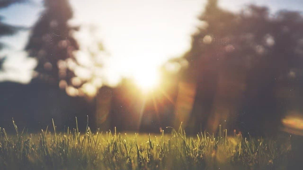Integral Unterwegs – Integral Intuition Walk