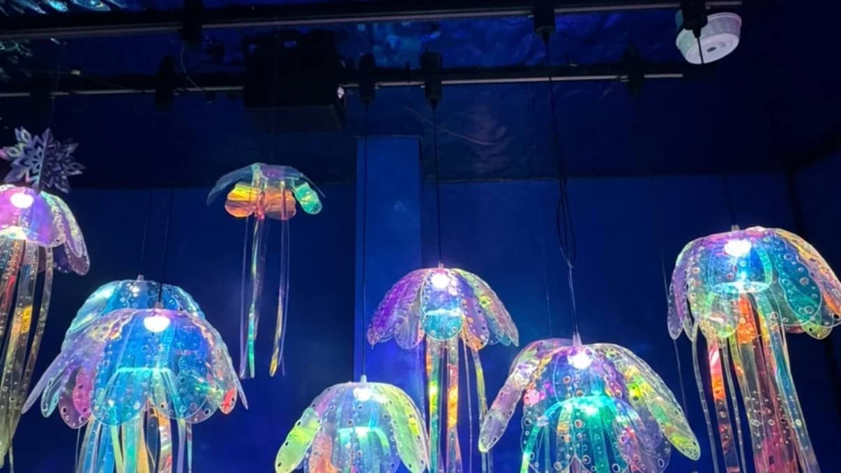 Jellyfish Cafe Hangout 🪼🪼🪼🪼