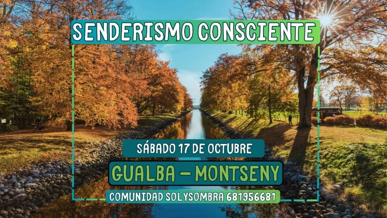 🌲🚶El paraíso del Montseny, Gualba | Senderismo y Meditación entre Ríos 🧘‍♂️