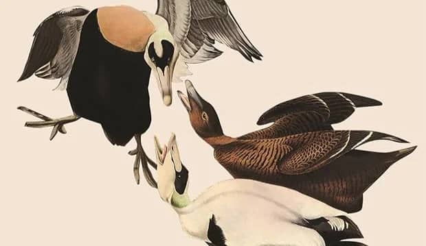 "Mouthing", by Orla Mackey