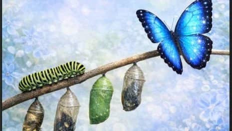 Conscious Living ~ An Experiential Community Program for Embodied Consciousness