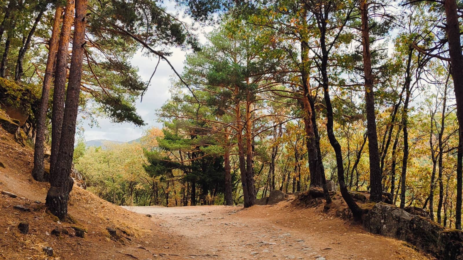 Secret Trail Level 1: The 1931 Ghost Road + Free Mountain Passport