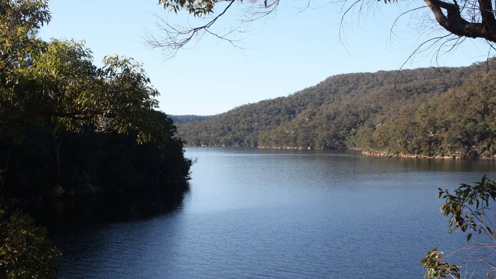 Berowra to Mt Kuring-gai Foreshore Walk (12km) Medium-Grade 3