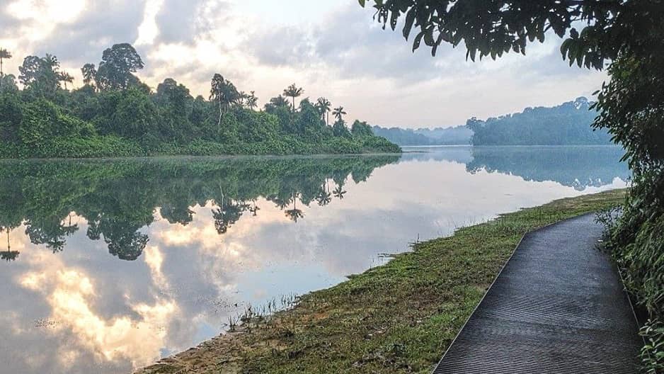 Weekend Hike: Macritchie to Thomson Nature Park
