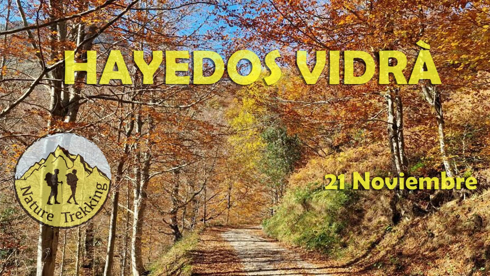 🍁Hayedos de Vidrà: bosques, senderos y cascadas🍂⛰️